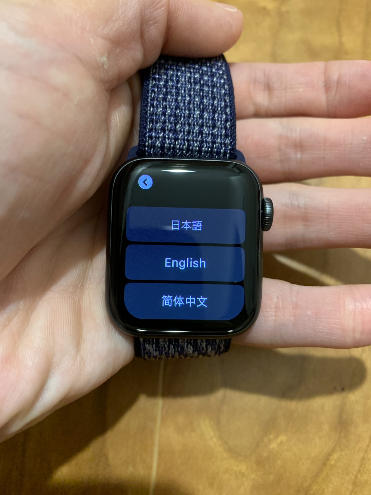 Apple Watch SE第2世代 NIKEモデル+spbgp44.ru