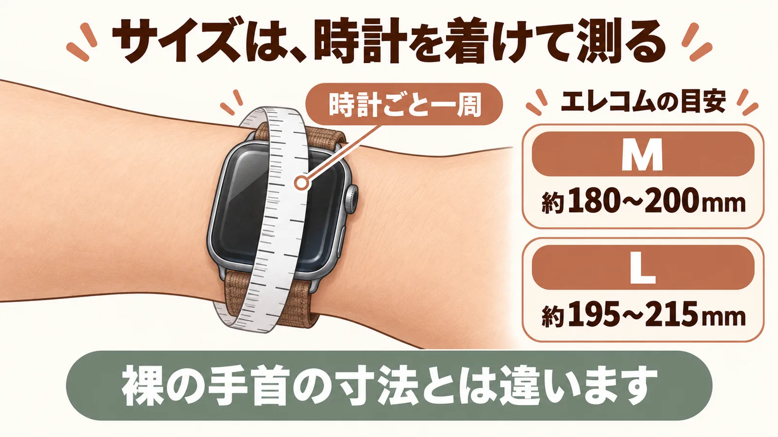 時計を着けた状態の外周を測り、エレコムMとLのサイズ目安を比べる説明図